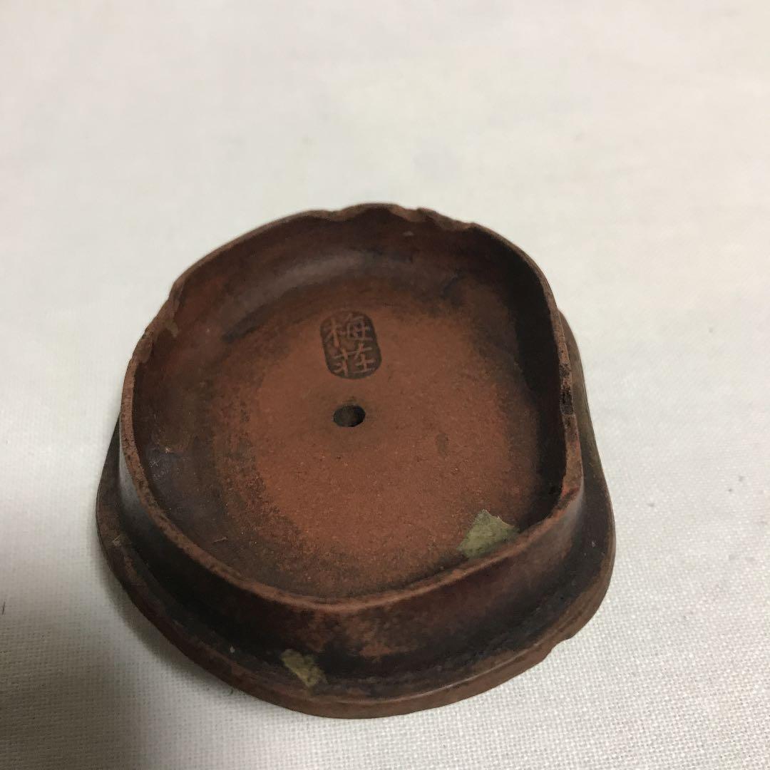 清代　梅枝急須（箱付き）