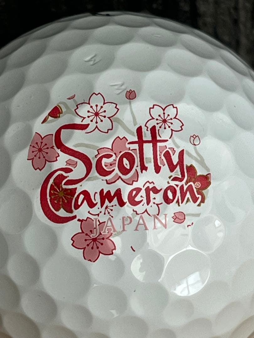 スコッティ　キャメロン　ロゴボール　PRO V1X