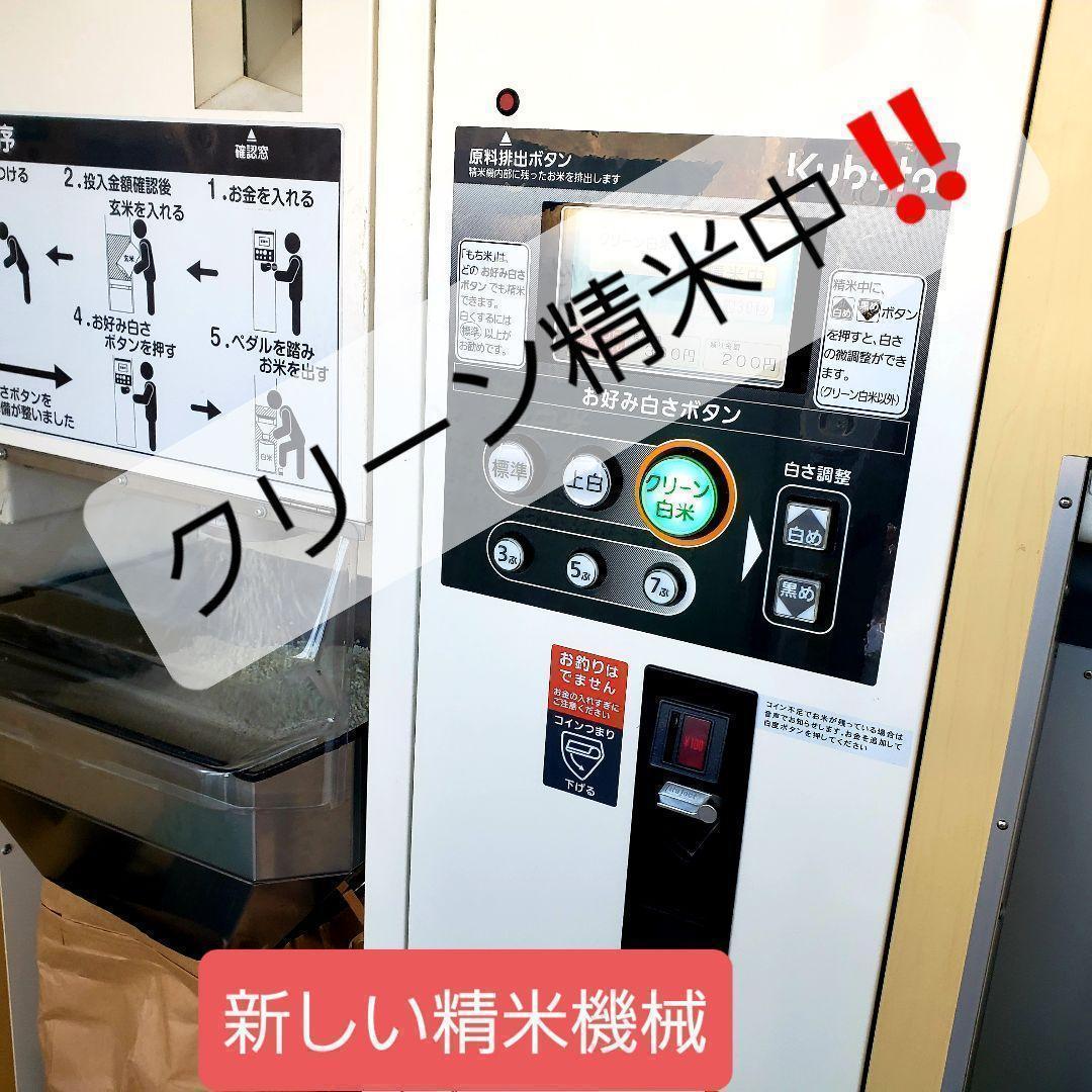 令和7年産棚田育ちのヒヨクモチ10kg 新米