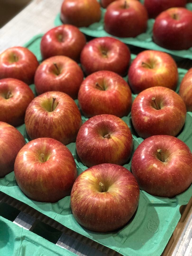 専用１０キロ　2ケース