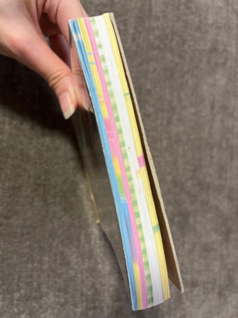 平成レトロ メモ帳 レア ちっちゃいちわわーるど カミオジャパン