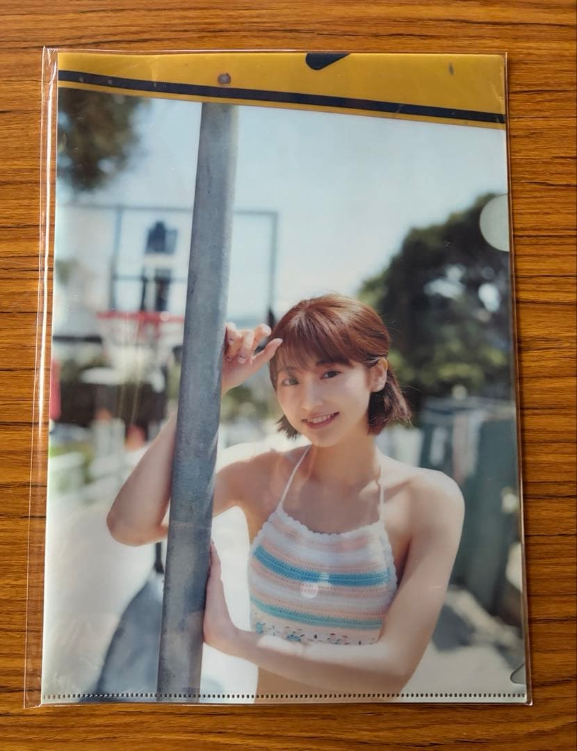 武田玲奈 クリアファイルセット