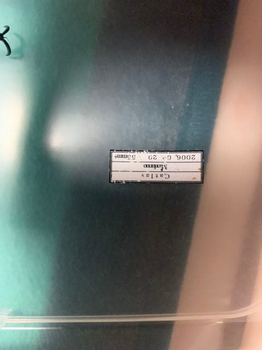 アトラスオオカブト　昆虫標本　雄雌セット