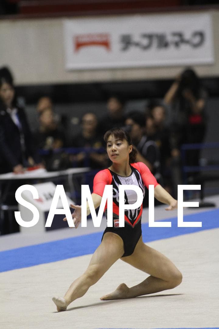 2016年全日本種目別体操 日本女子選手画像集①　約6,600枚