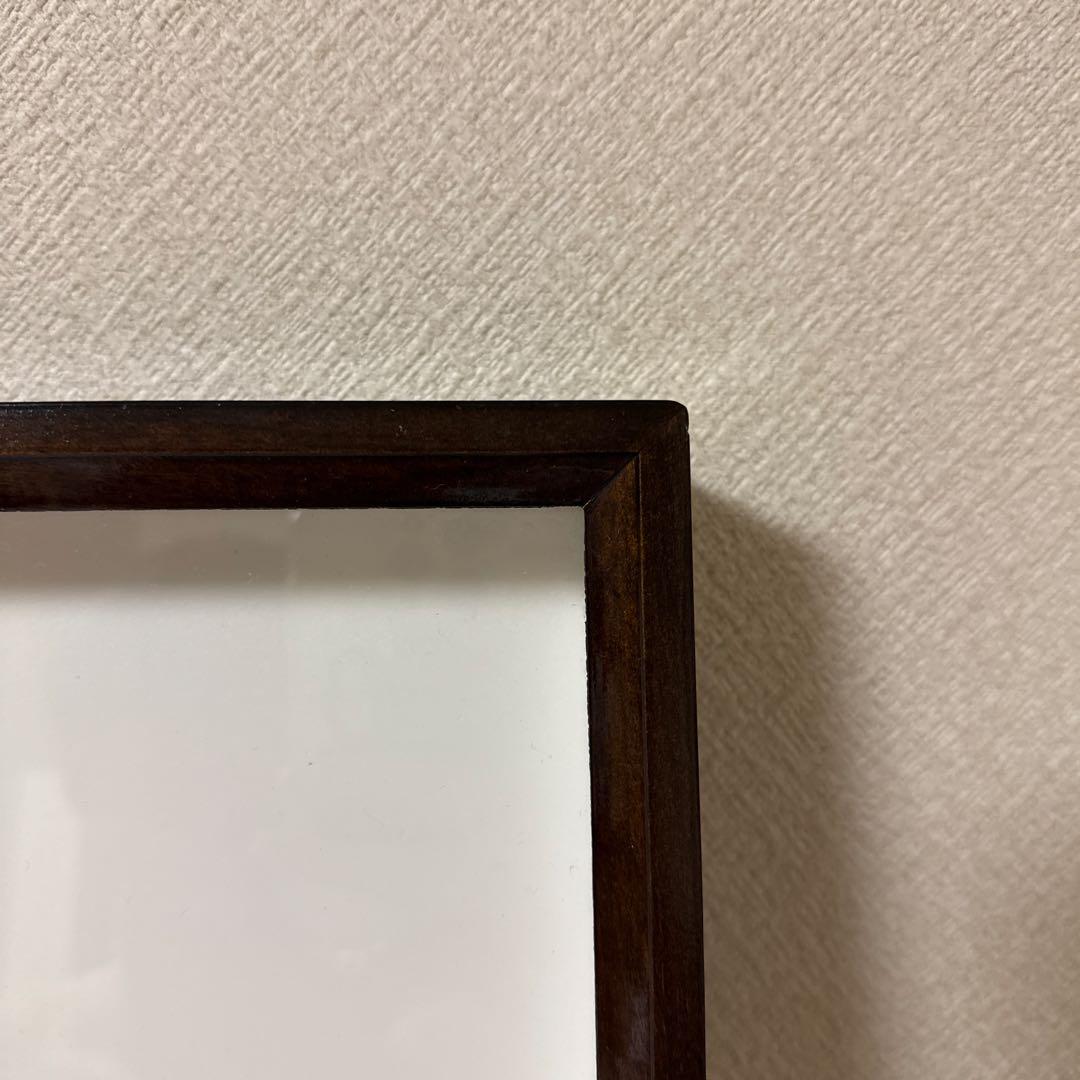 中型ドイツ箱 2個 展翅テープ・殺虫瓶・三角紙 追加あり(6/16)