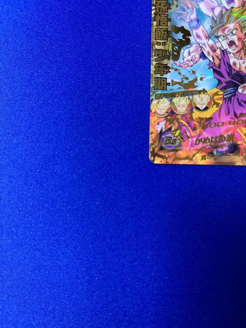 H2-16 孫悟飯:少年期 本家