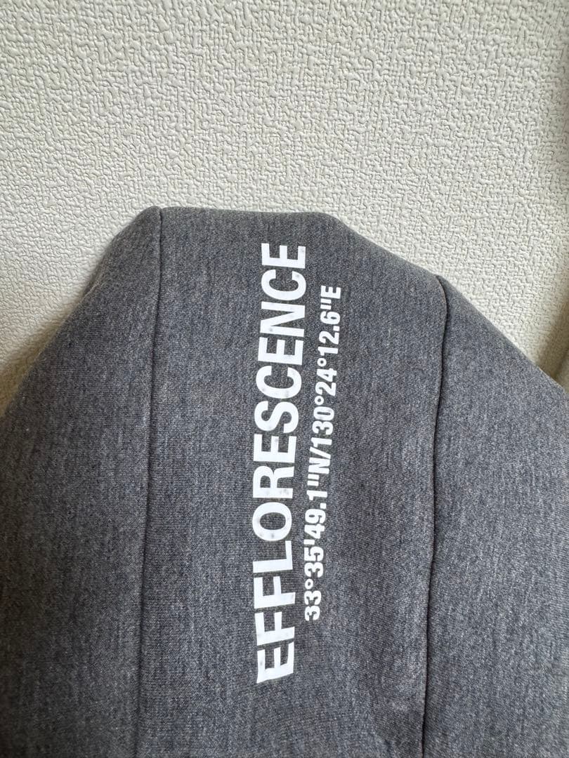 EFFLORESCENCE セットアップ