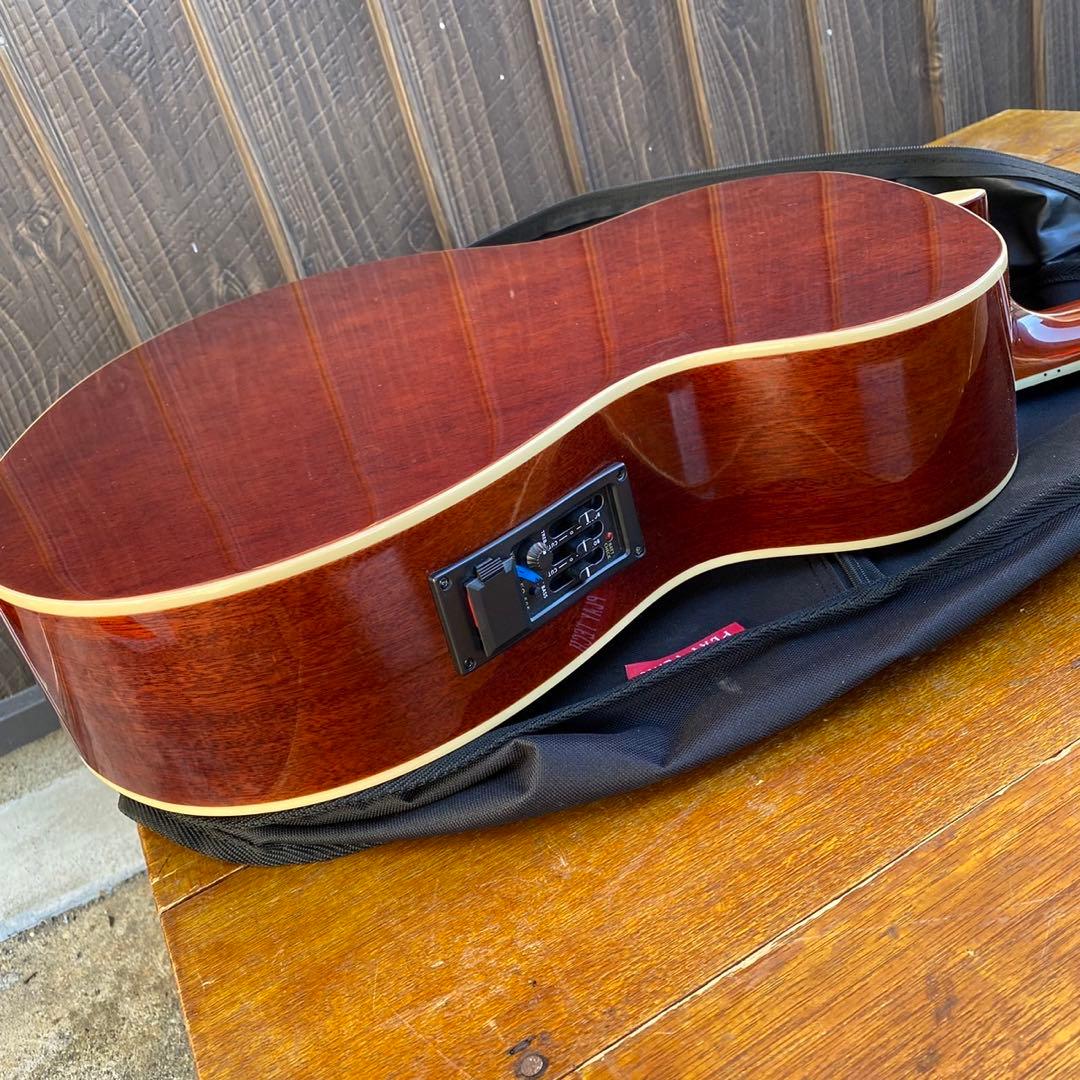 PLAYTECH RG10 エレクトリックリゾネーターギター ソフトケース付き