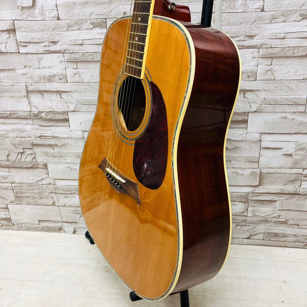 Elioth エリオス B305NA アコースティックギター