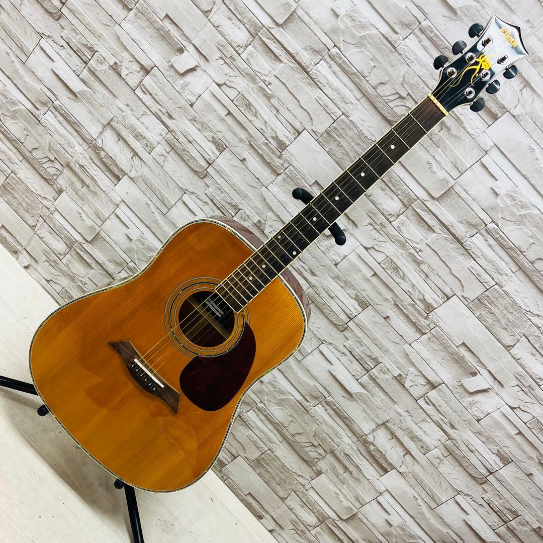 Elioth エリオス B305NA アコースティックギター