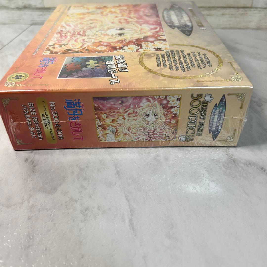 アートクリスタルジグソーパズル 300P 満月をさがして 種村有菜