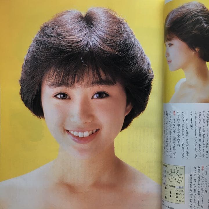 【画像確認用出品】明星 ヘアカタログ 87冬号 1987 本田美奈子 渡辺満里奈