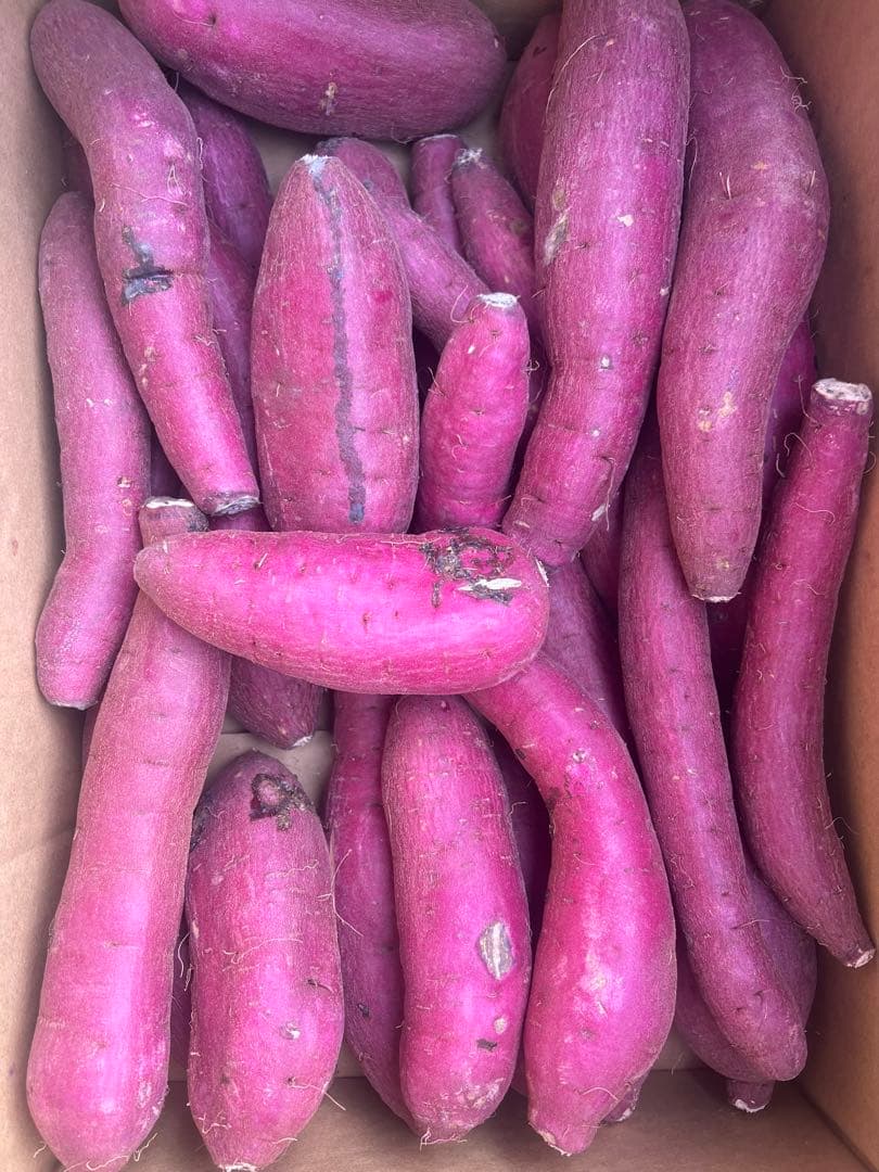 ゆんちゃん 紅はるか1箱5kg家庭用１０箱