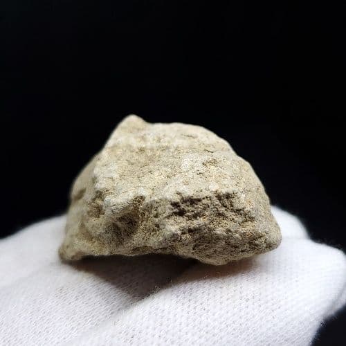 希少 ティラノサウルス 化石 骨 本物 アメリカ産 38.86mm tb93