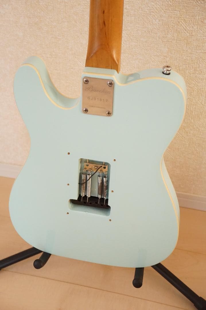 ギター Bacchus / TACTICS-CTM25