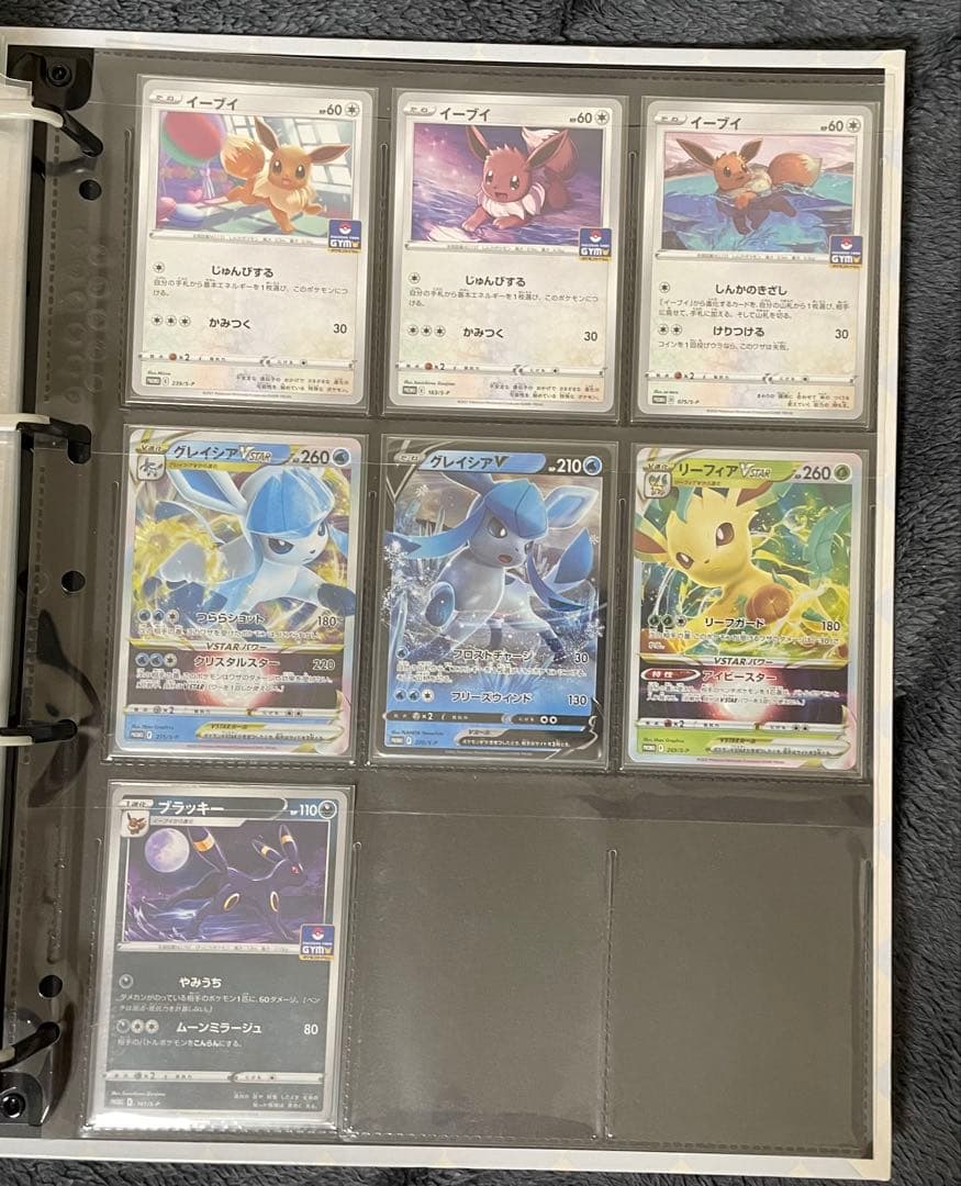 ポケモンカード　引退品　ブイズのみ　ファイル付き