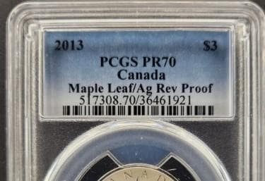 銀貨 プレミア 最高グレード世界に3枚 カナダ 2013年 メイプルリーフ
