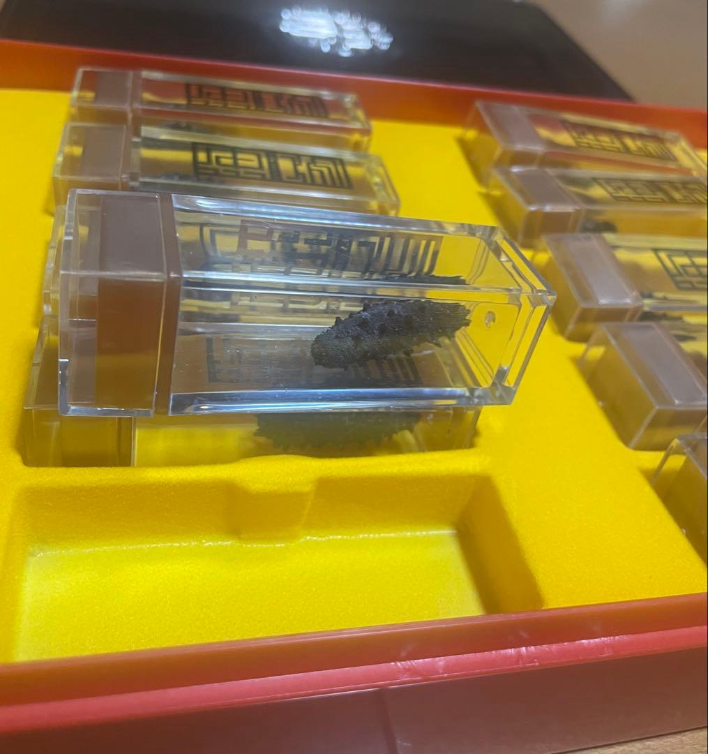 乾燥なまこ 中国高級品