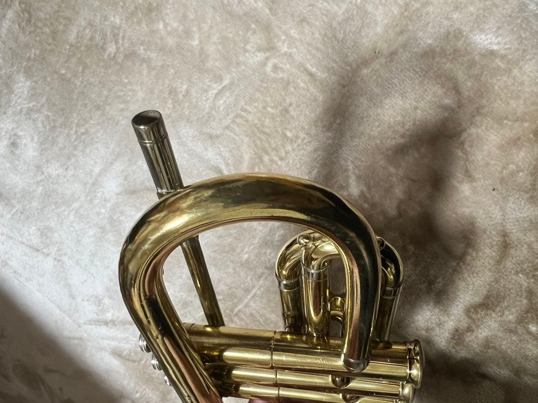 コルネット ホルトン　カレッジエイトモデル