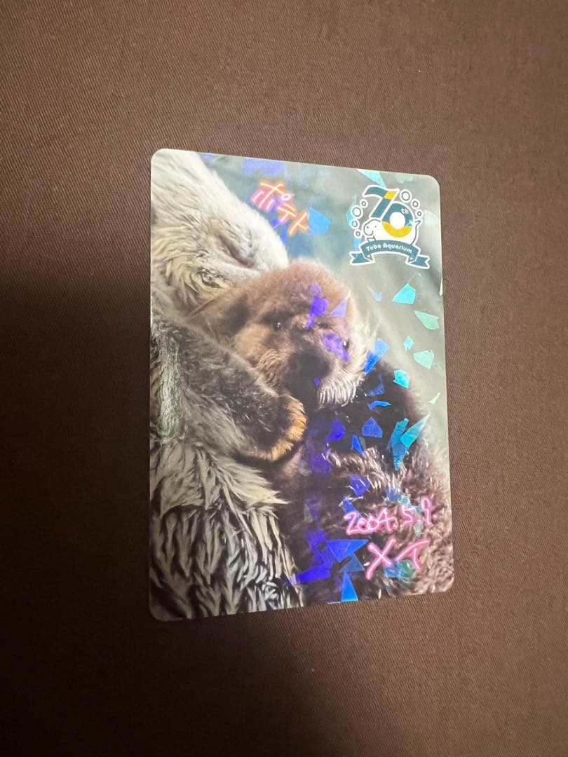 鳥羽水族館 TOBA AQUARIUMコレクションカード ラッコ メイ