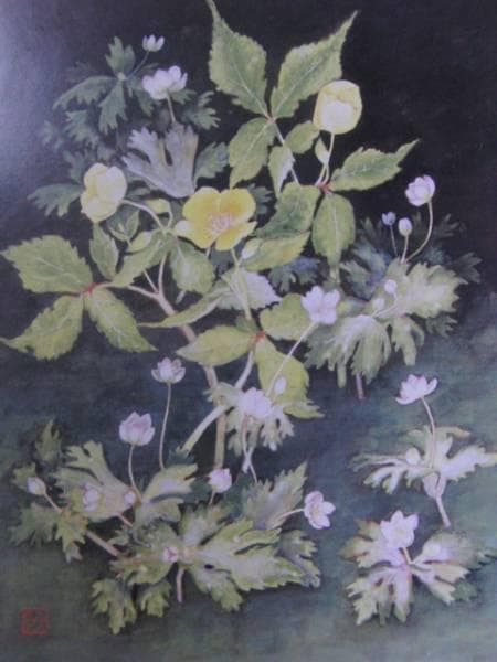 小橋操、山吹草、希少な額装用画集より、新品高級額装付、状態良好