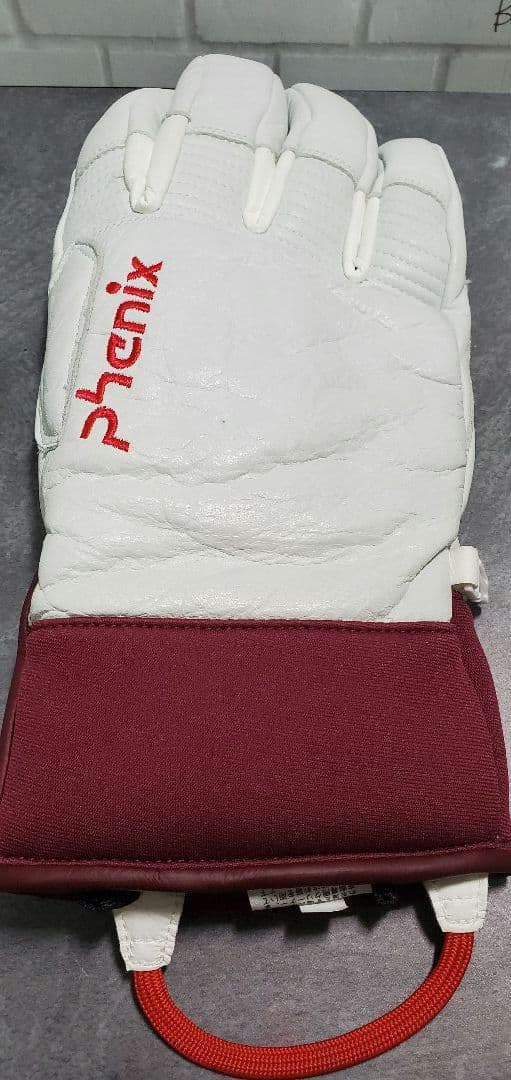 PHENIX フェニックス スキーグローブ