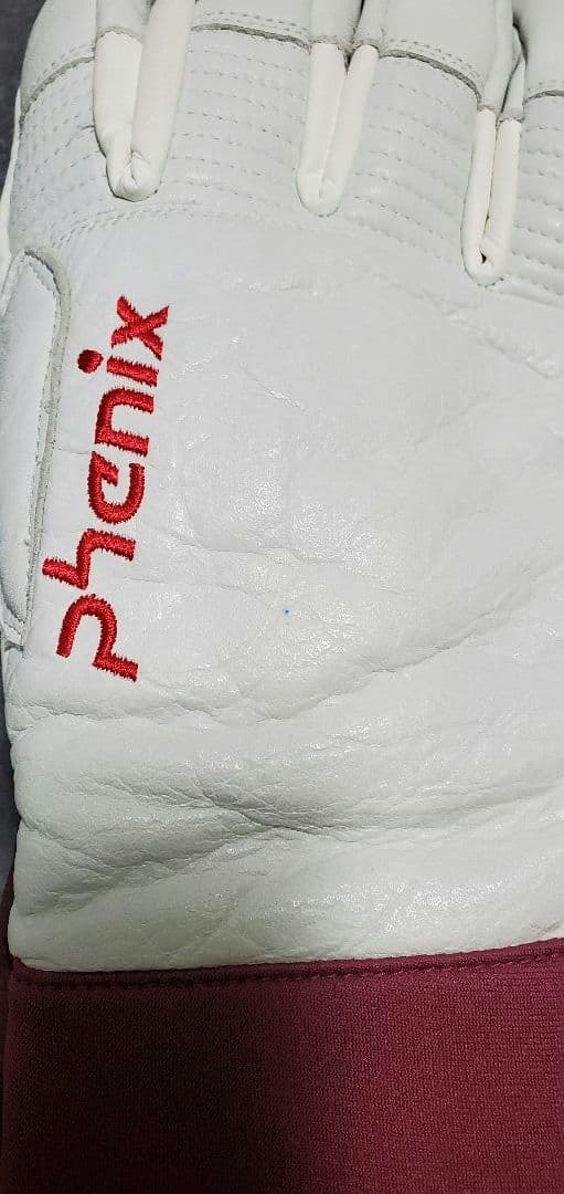 PHENIX フェニックス スキーグローブ