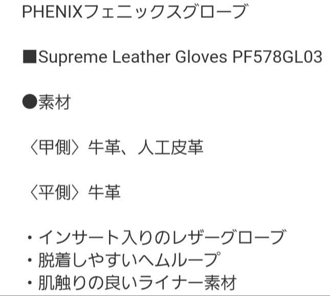 PHENIX フェニックス スキーグローブ