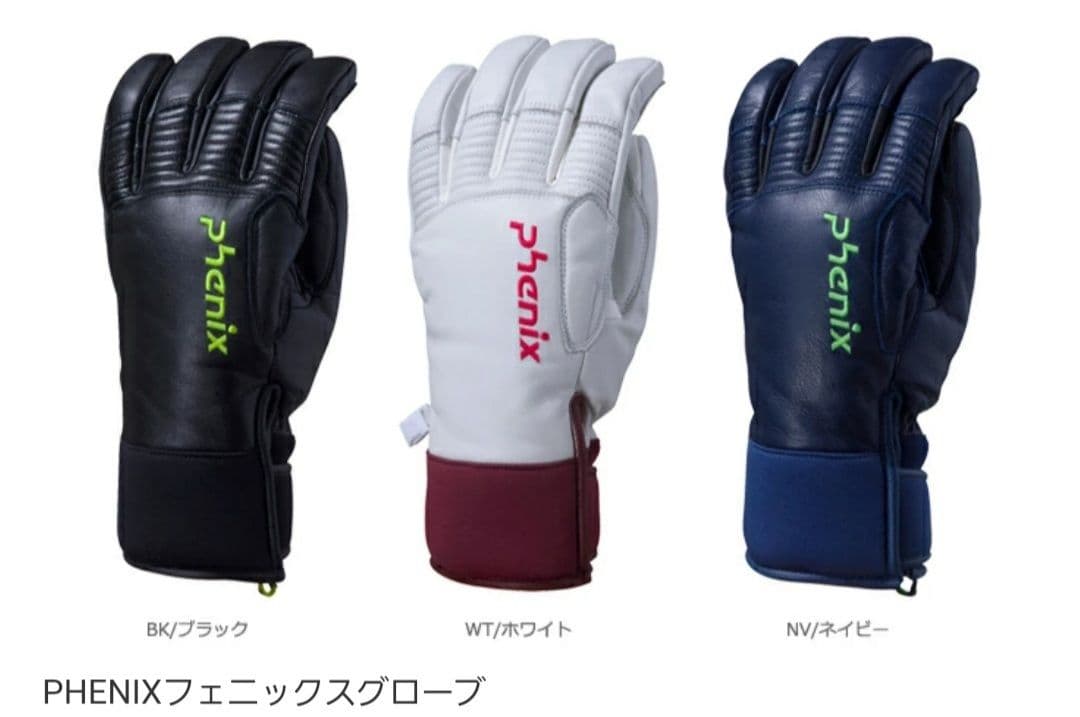 PHENIX フェニックス スキーグローブ
