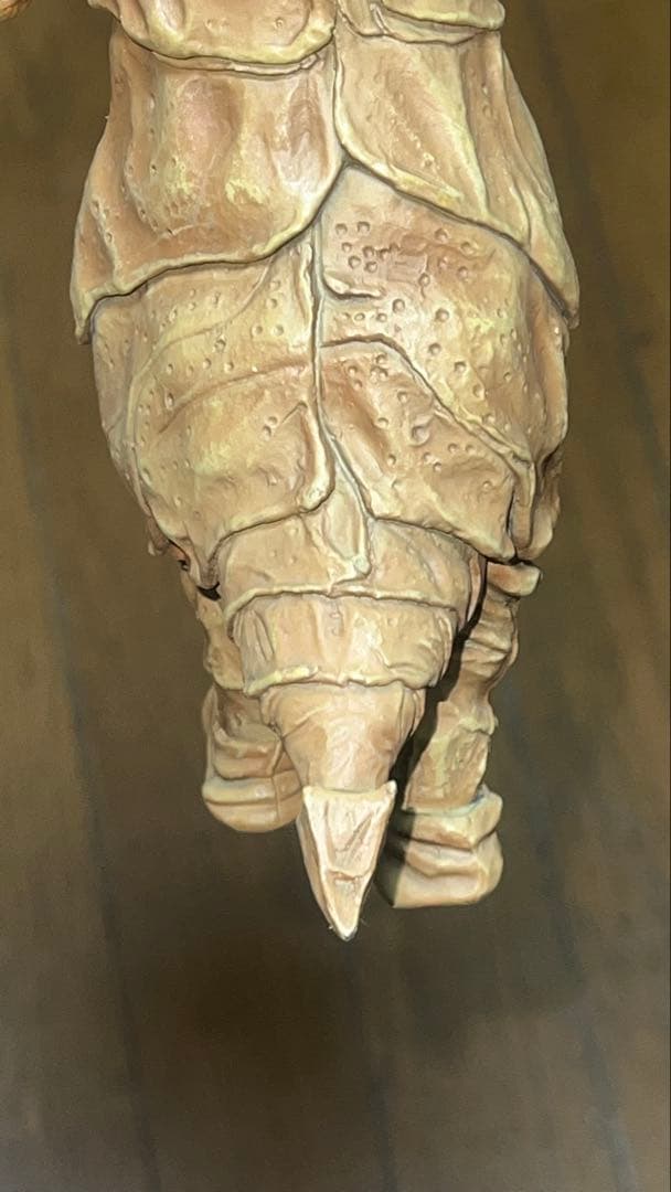 カネゴン怪獣フィギュア 触角付き ベージュ　美品