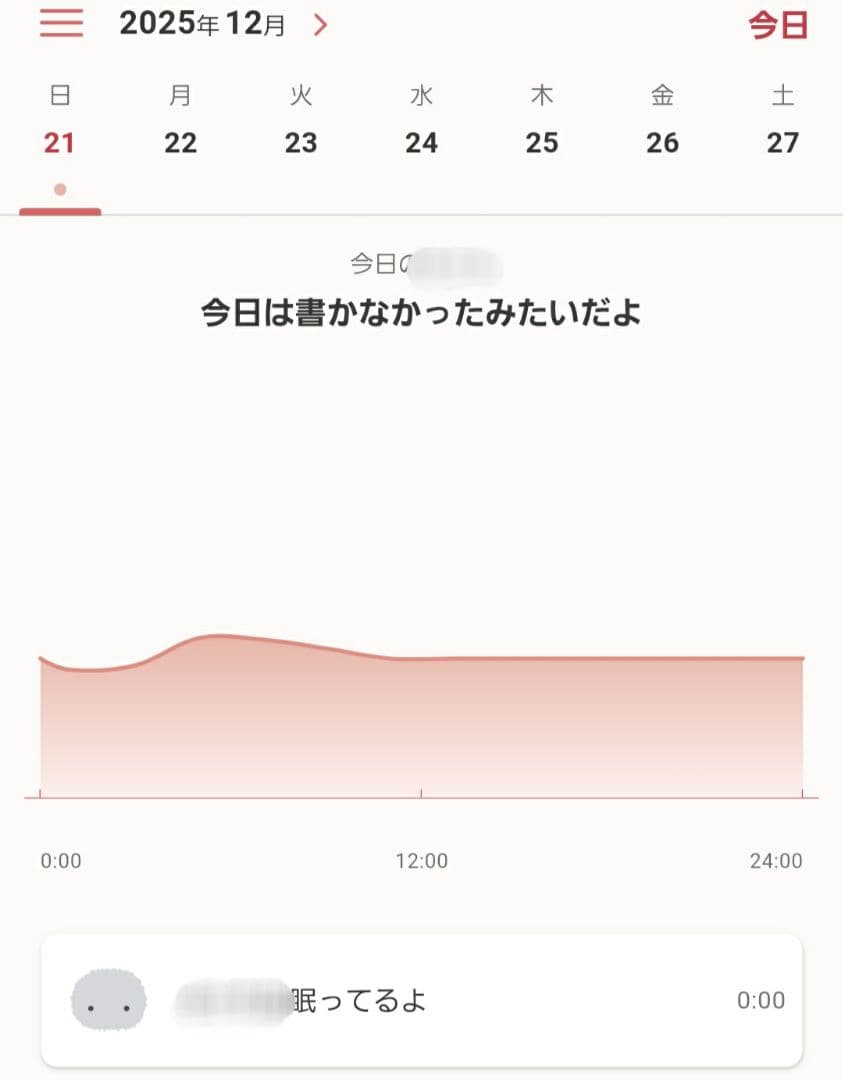 【故障品】CASIO(カシオ)のMoflin（モフリン）グレー