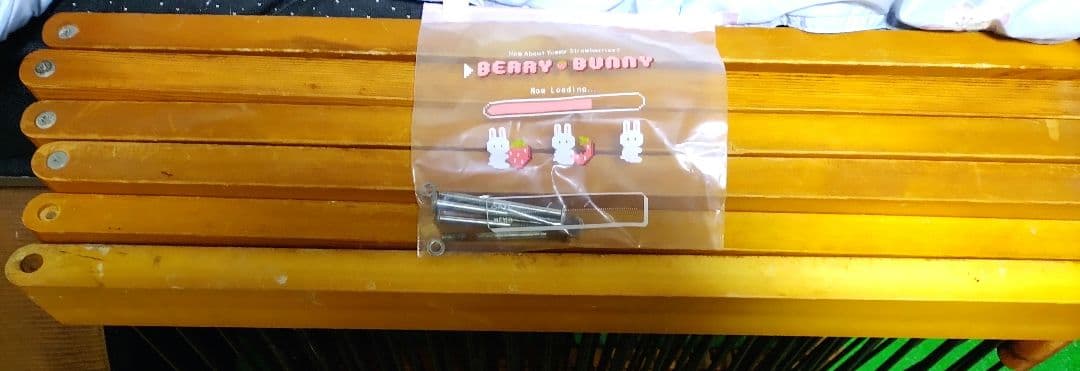 メディカル60 フェレット