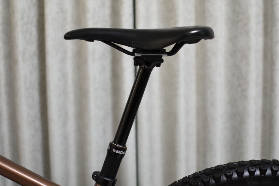 【関東 手渡し 送料込み】SANTACRUZ CHAMELEON CARBON