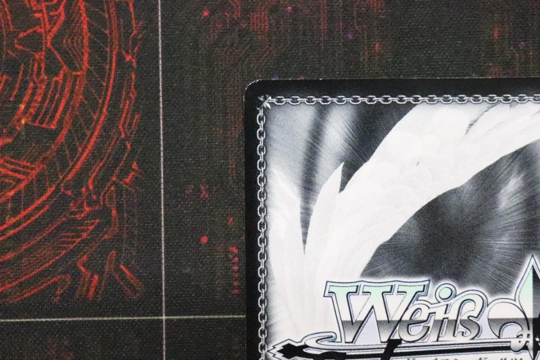 ふわもこ夢心地 望月杏奈 SSP サイン 44-MY0921-12C