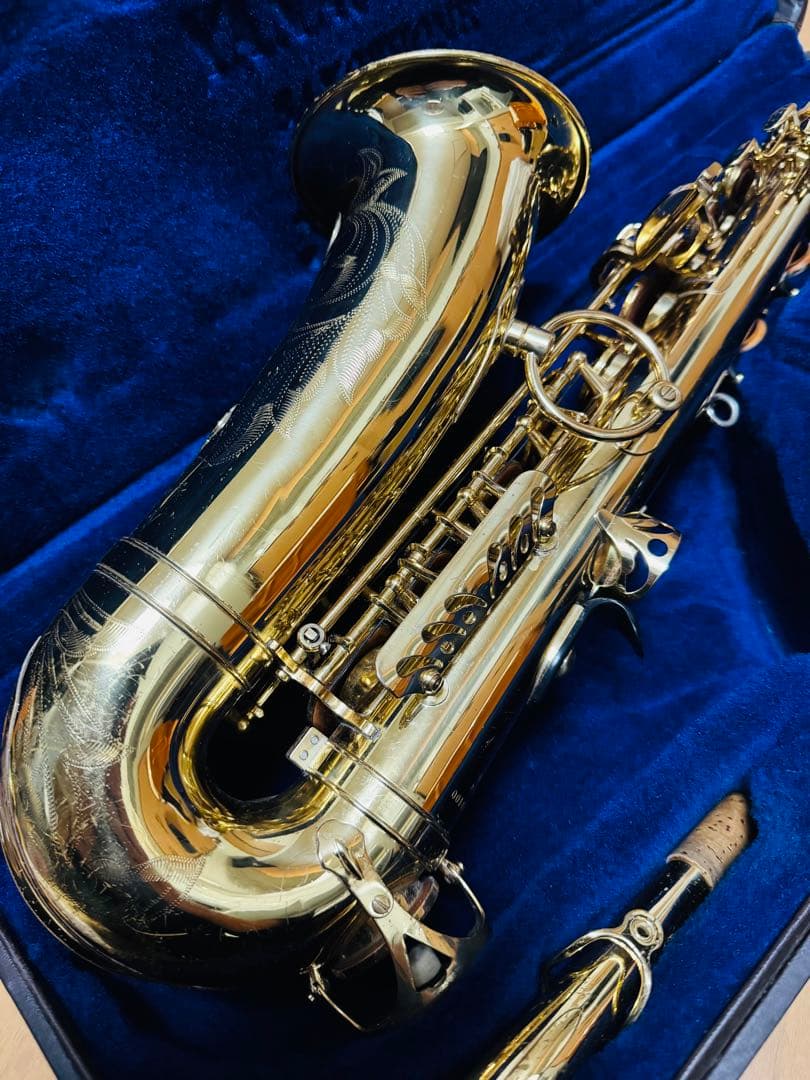 yanagisawa ELIMONA【アルトサックス】