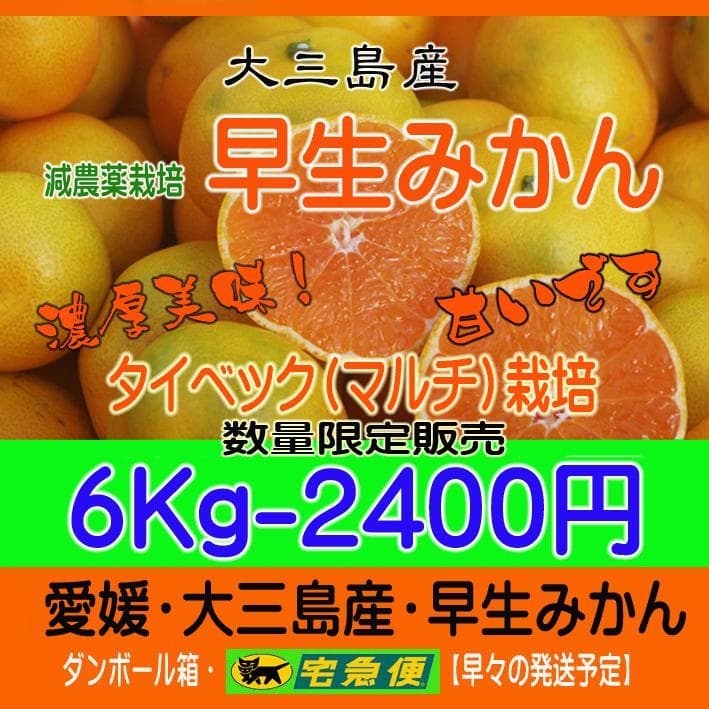 【言の葉】チョイブス！早生みかん6Kg×2　9Kｇ×1　３か所送り