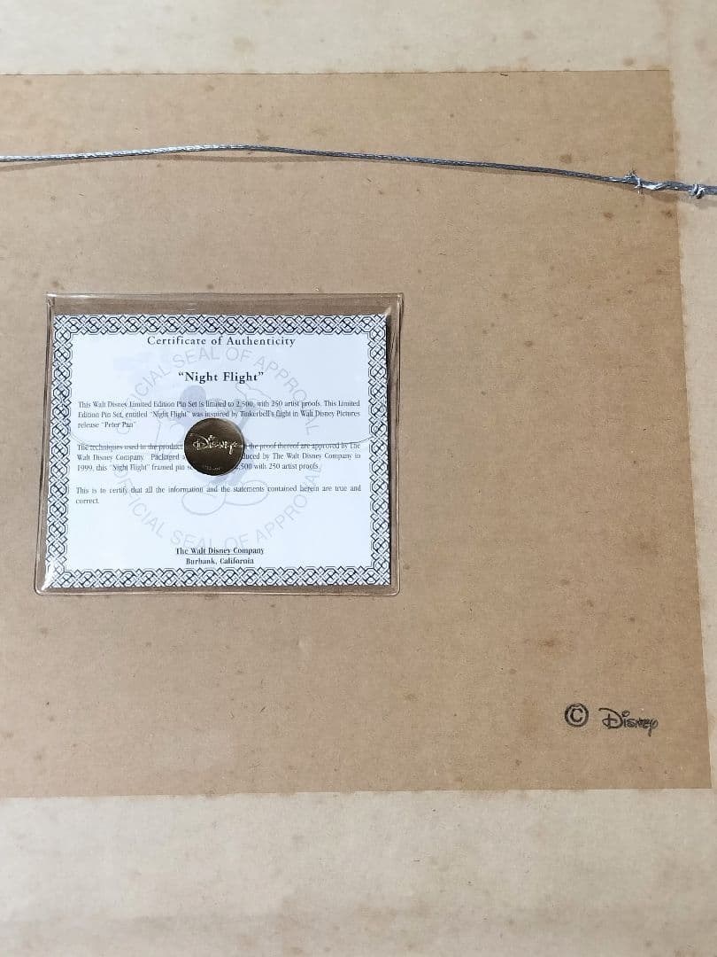 L*J様 ディズニー　ティンカーベル　ピンバッジ絵画　限定2500　ピーター・パ