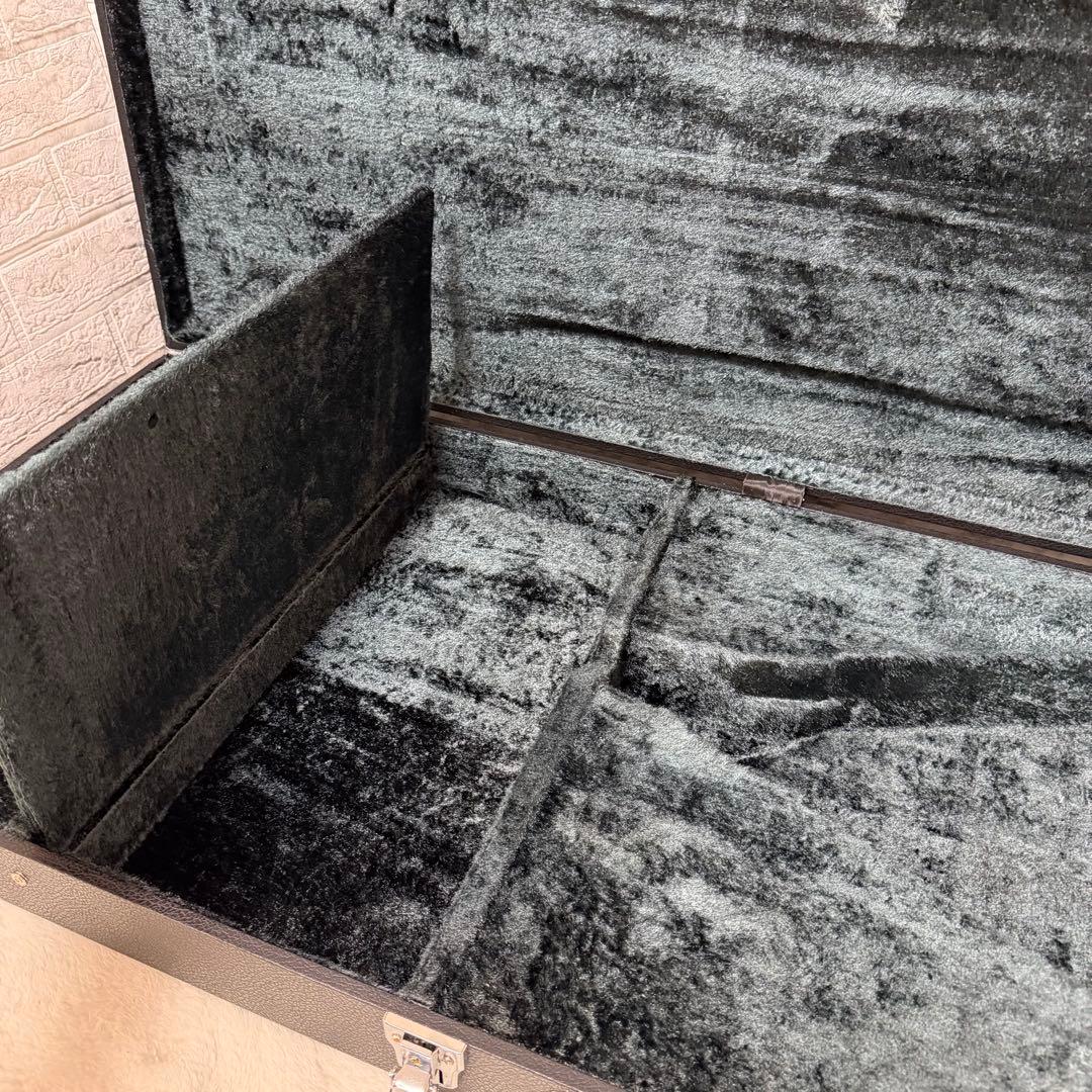 希少　EPIPHONE エピフォン　ランディV 変形　ハードケース付き