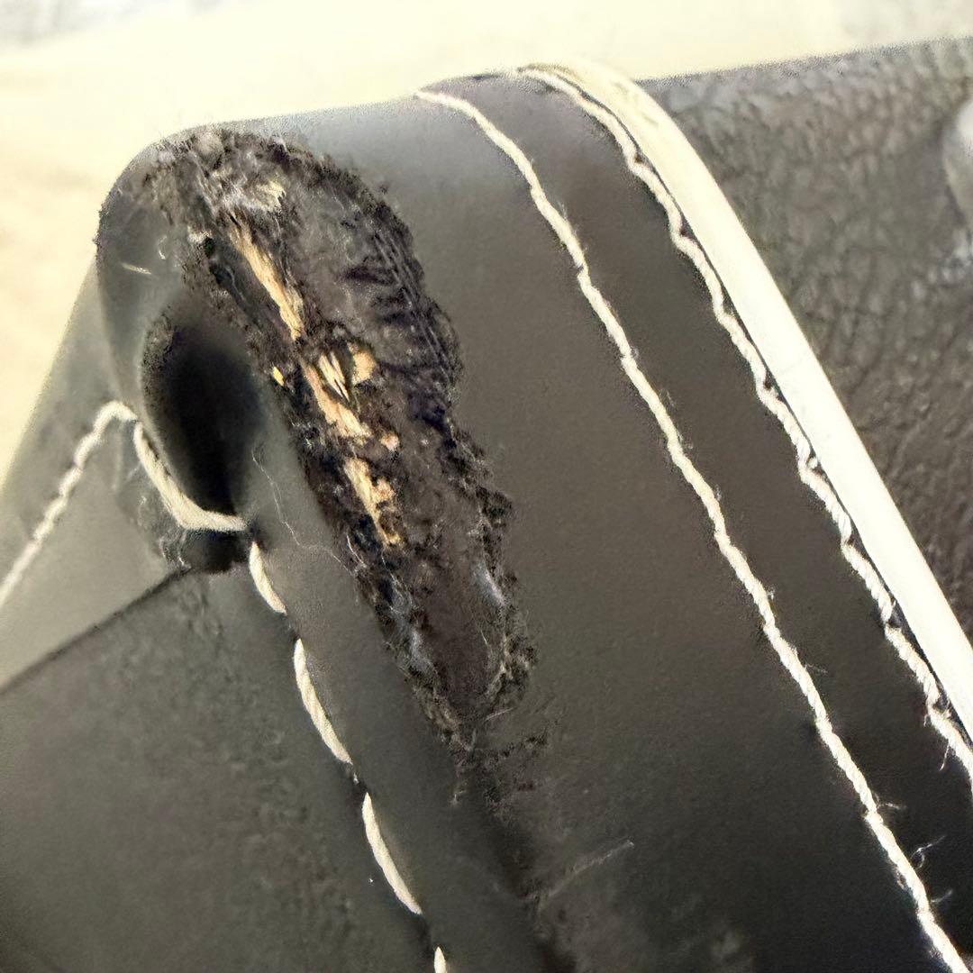 希少　EPIPHONE エピフォン　ランディV 変形　ハードケース付き