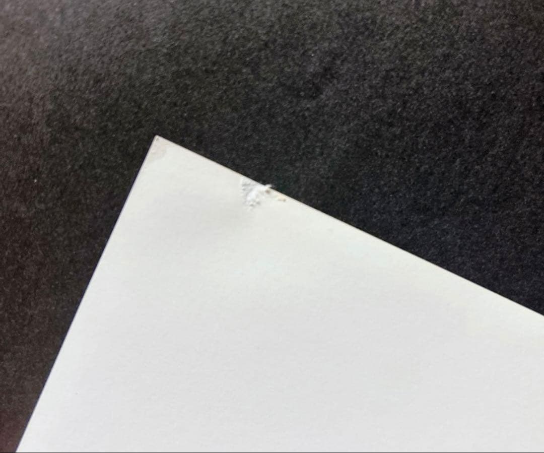 オトメイトガーデン 薄桜鬼 ランチョンマット A3