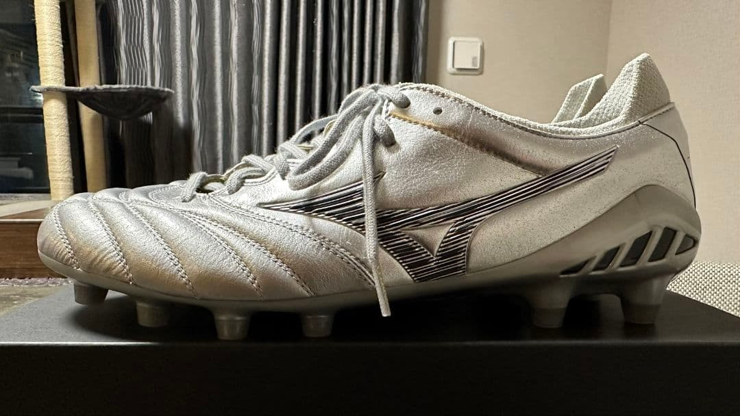 モレリア ネオ Ⅲ ジャパン シルバー