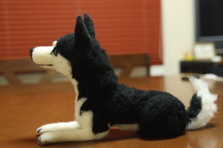 羊毛フェルト　シベリアンハスキー