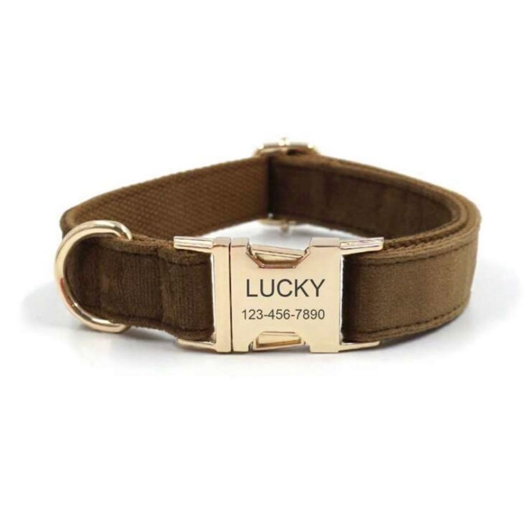 オーダー 名前 首輪 ハーネス リード セット 犬 花 リボン 中型犬 大型犬