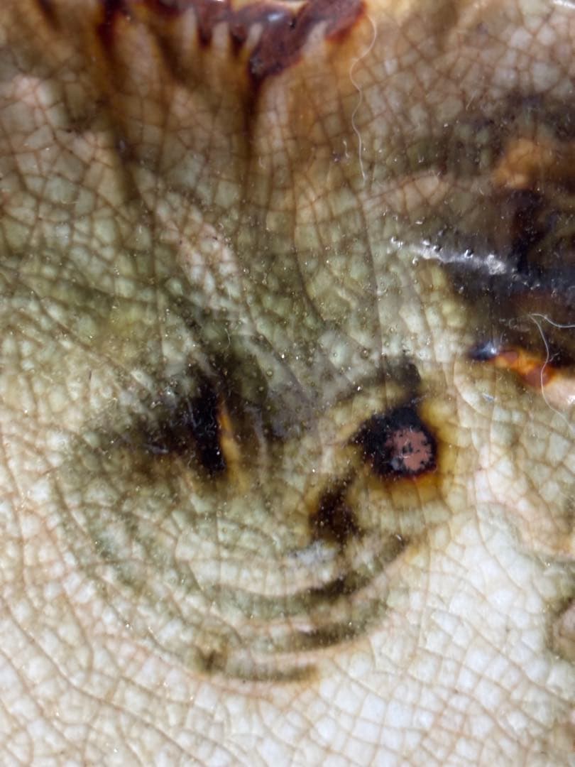 初期鍋島錆緑釉蕪形五寸皿　検松ケ谷