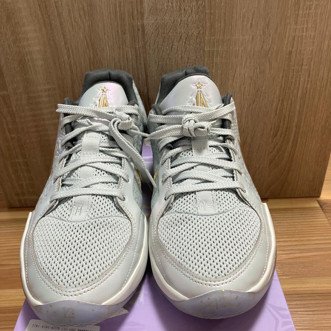 シューズ(男性用) NIKE JA 2 tree top FZ1516-001 26.5cm