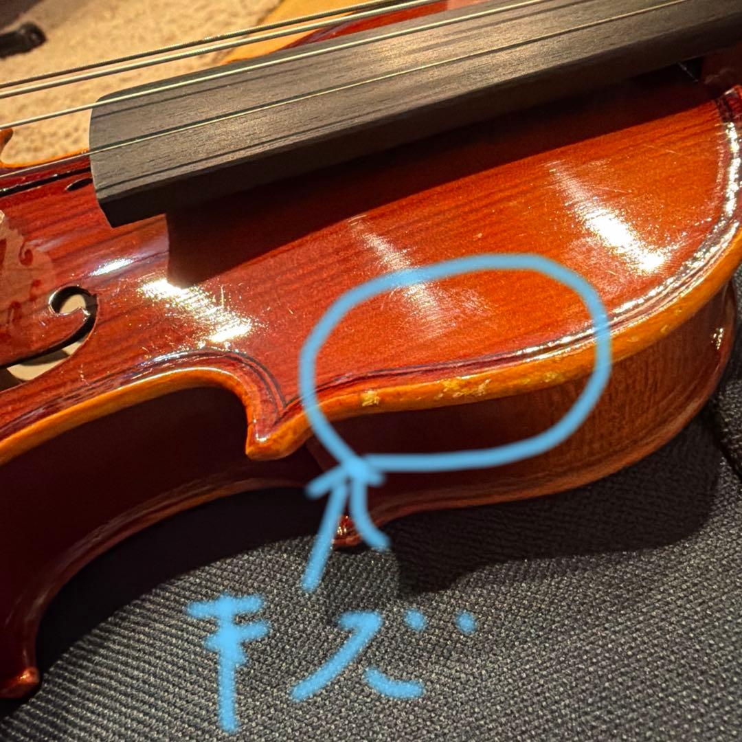 子供用　1／16バイオリン2歳