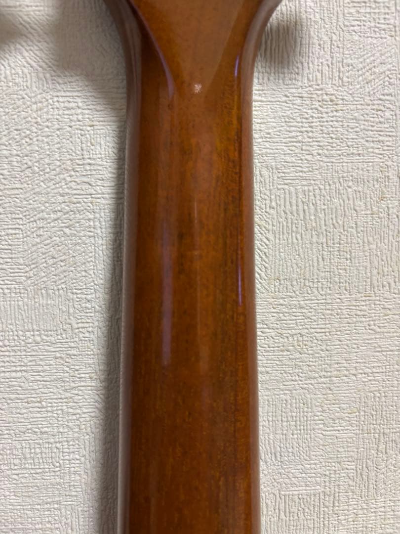 ギター Gibson Les Paul Junior Special