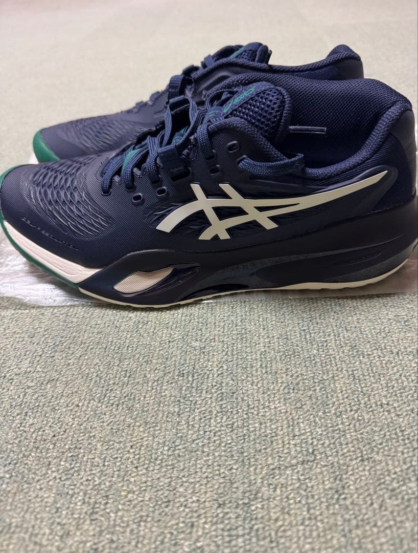 アシックス　ゲルレゾリューションX (25.0cm)