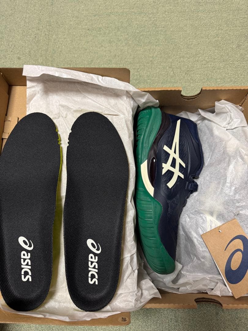 アシックス　ゲルレゾリューションX (25.0cm)