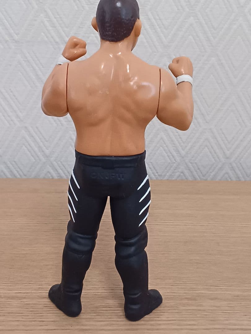 集合～！プロレスフィギュア5人【送料込み】